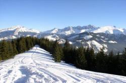 Habitaciones Parzenica 07